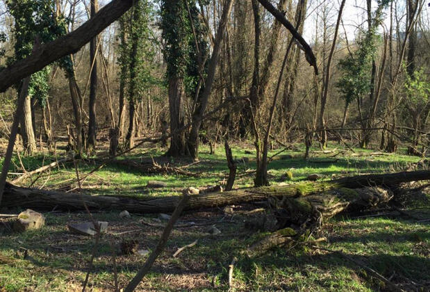 Klon Jawor Hotel - Görsel 31