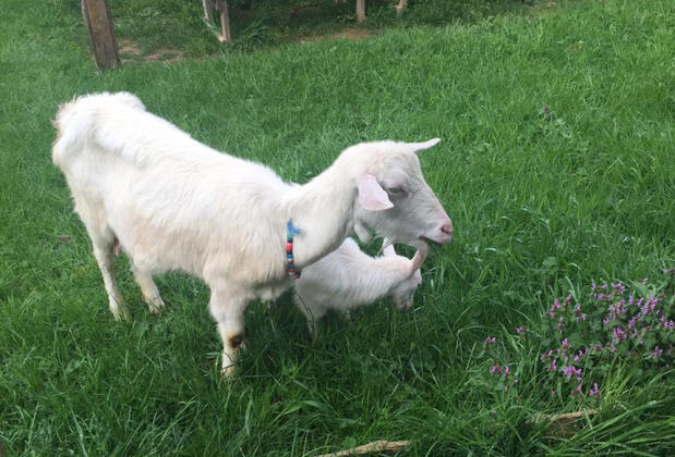 Klon Jawor Hotel - Görsel 17