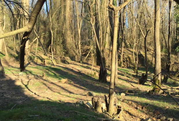 Klon Jawor Hotel - Görsel 30