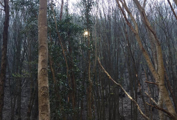 Klon Jawor Hotel - Görsel 33