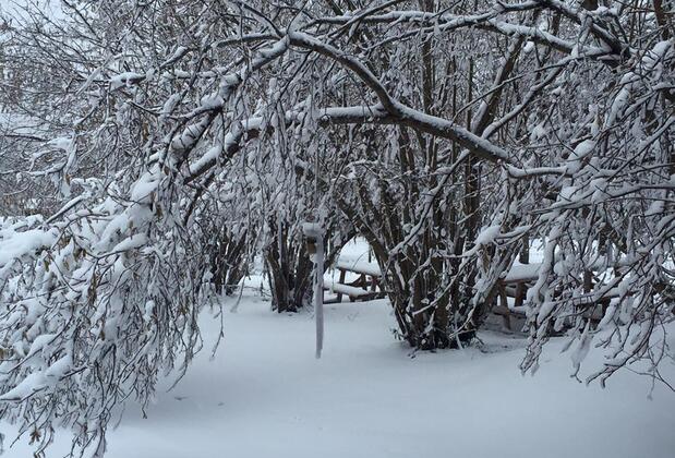 Klon Jawor Hotel - Görsel 7