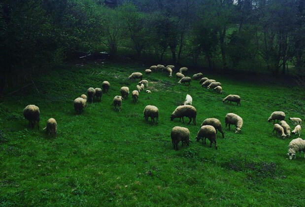 Klon Jawor Hotel - Görsel 39