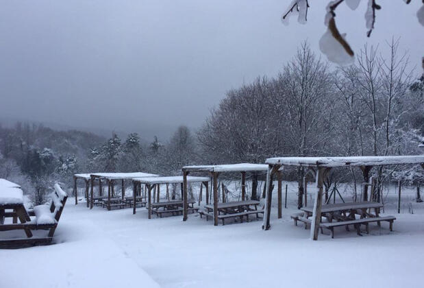 Klon Jawor Hotel - Görsel 15