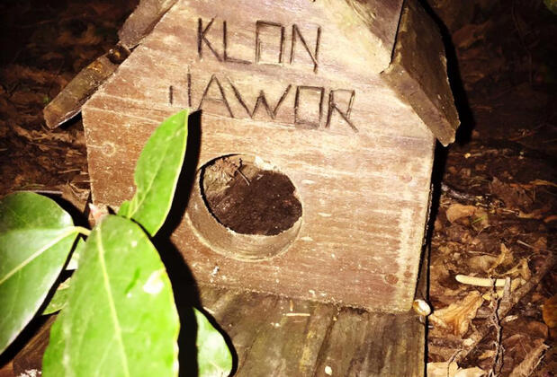 Klon Jawor Hotel - Görsel 42