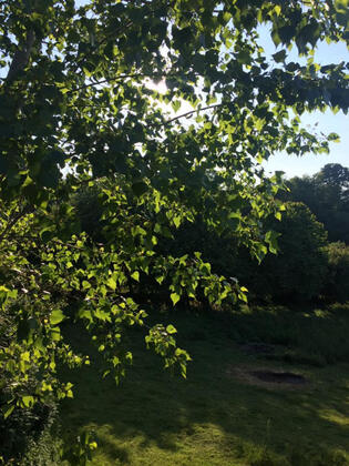 Klon Jawor Hotel - Görsel 25