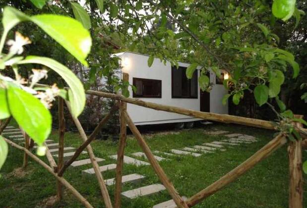 Klon Jawor Hotel - Görsel 45