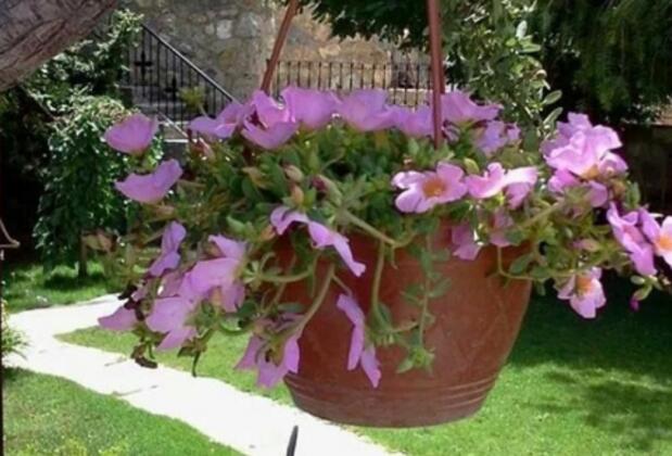 Gürnaz Apartment - Görsel 6