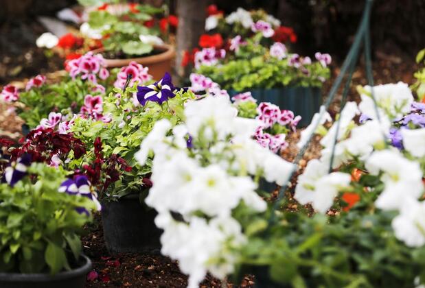 Him Hotel - Görsel 31