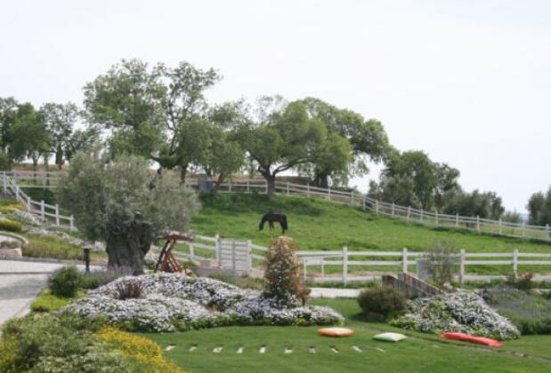 Kemal Bey Çiftliği & Otel Urla - Görsel 7