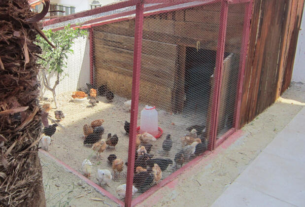 Minser Motel - Görsel 42