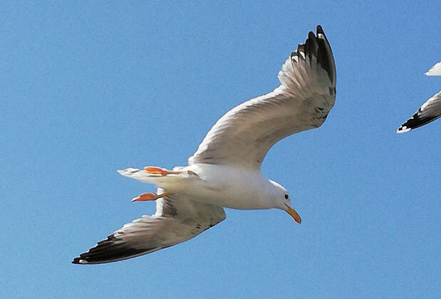 Minser Motel - Görsel 35