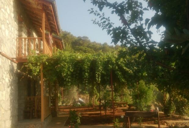 Faralya Punica Hotel - Görsel 11