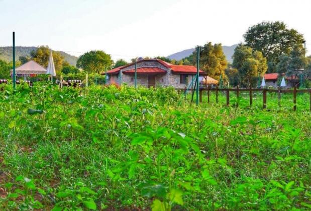 Kayı Villaları - Görsel 20