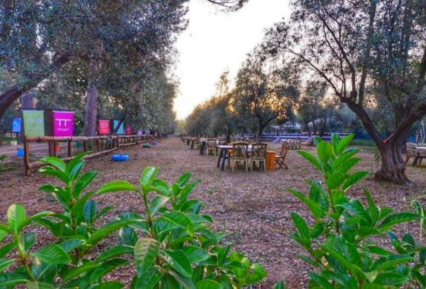 Kayı Villaları - Görsel 26