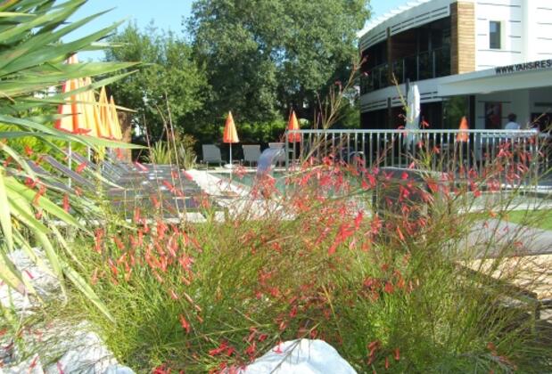 Yahşi's Yahşi Resort - Görsel 30