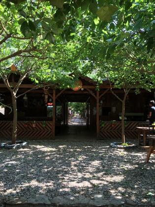 Olimpos Ayışığı Pansiyon - Görsel 17