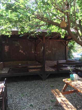 Olimpos Ayışığı Pansiyon - Görsel 4