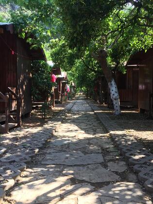 Olimpos Ayışığı Pansiyon - Görsel 18