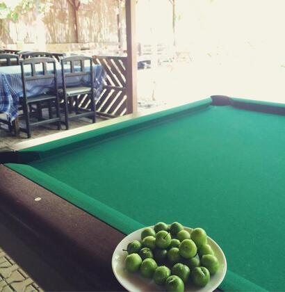 Olimpos Ayışığı Pansiyon - Görsel 39