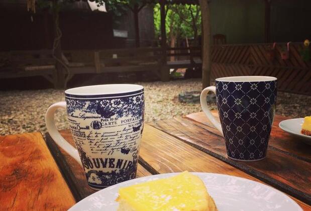 Olimpos Ayışığı Pansiyon - Görsel 11