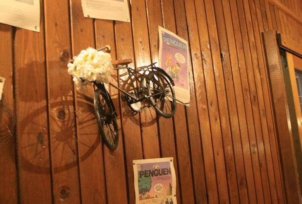 Olimpos Ayışığı Pansiyon - Görsel 20