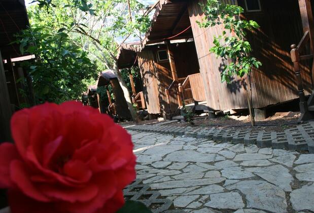 Olimpos Ayışığı Pansiyon - Görsel 14