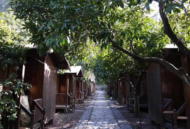 Olimpos Ayışığı Pansiyon - Görsel 43