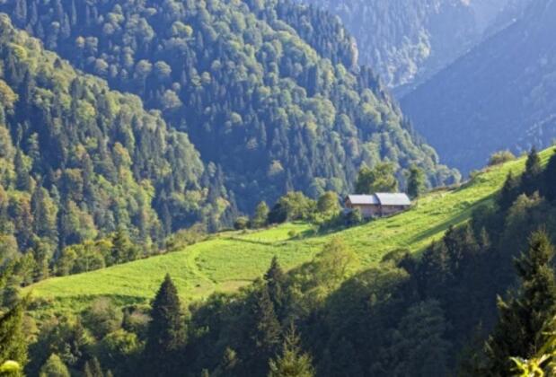 Goboca Dağ Evi - Görsel 11