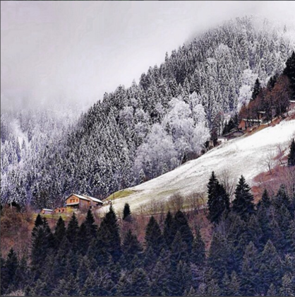 Goboca Dağ Evi - Görsel 19