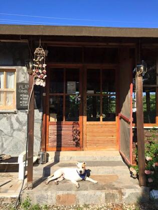 Gaia Olimpos Hotel - Görsel 11