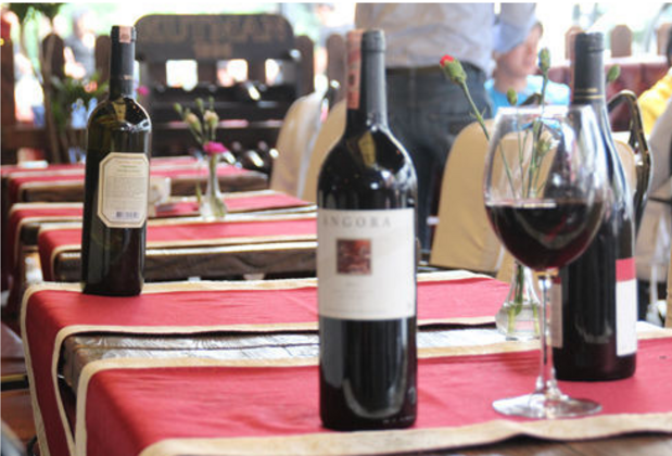 New Backpackers - Görsel 9