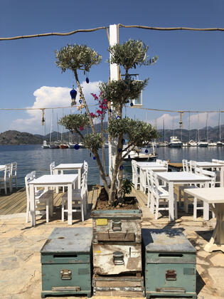 İskarça Butik Otel Restaurant - Görsel 6