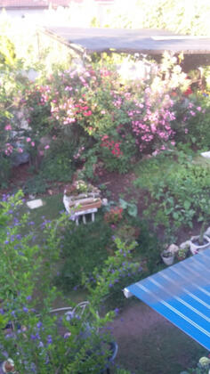 Şaziye Apart Pansiyon - Görsel 8