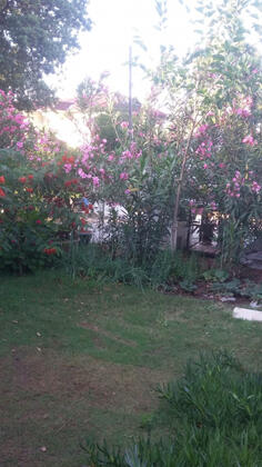 Şaziye Apart Pansiyon - Görsel 32