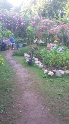 Şaziye Apart Pansiyon - Görsel 13