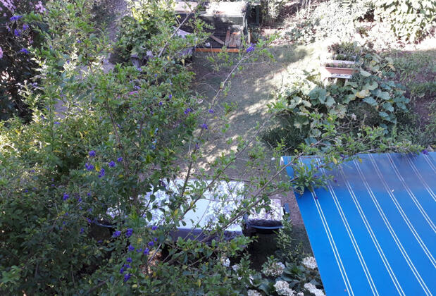 Şaziye Apart Pansiyon - Görsel 7