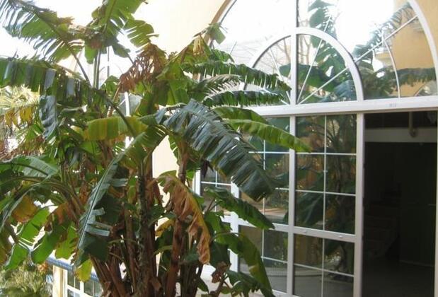 Olivia Family Suites - Görsel 15