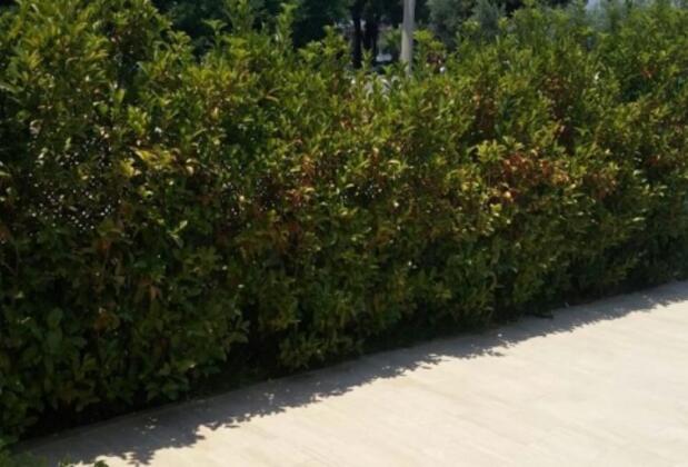 Damla Apart Pansiyon - Görsel 5