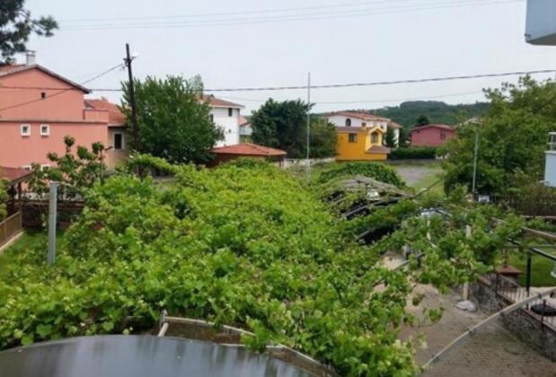 Blacksea Apart Villas - Görsel 18