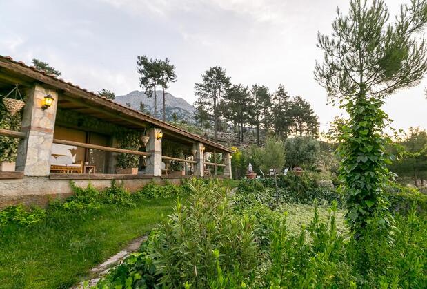 Olympos Mountain Lodge - Görsel 43