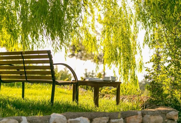 Olympos Mountain Lodge - Görsel 41