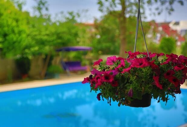 Anfora Otel Belek - Görsel 3