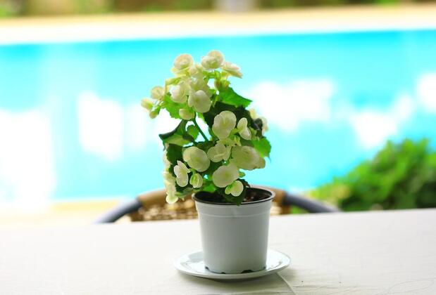 Anfora Otel Belek - Görsel 14