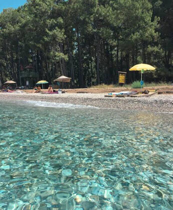 Royalton Inn Hotel Güzelçamlı - Görsel 16