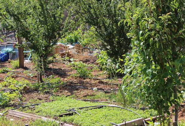 Huzur Hotel - Görsel 8