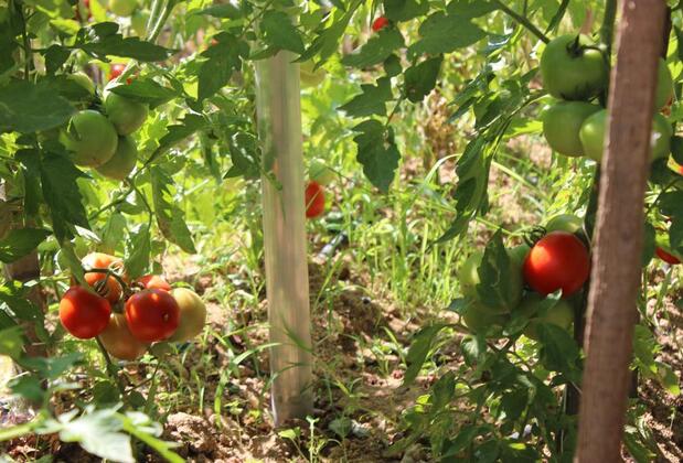 Huzur Hotel - Görsel 19