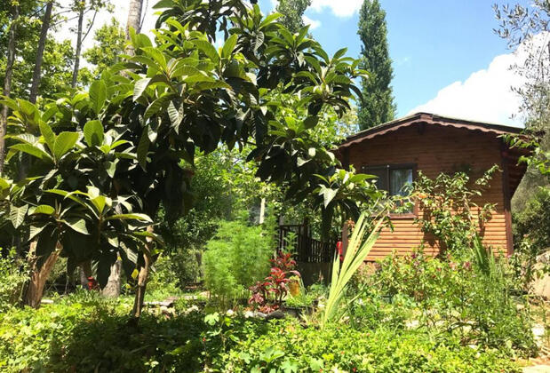 Naturland Bungalov Otel - Görsel 7