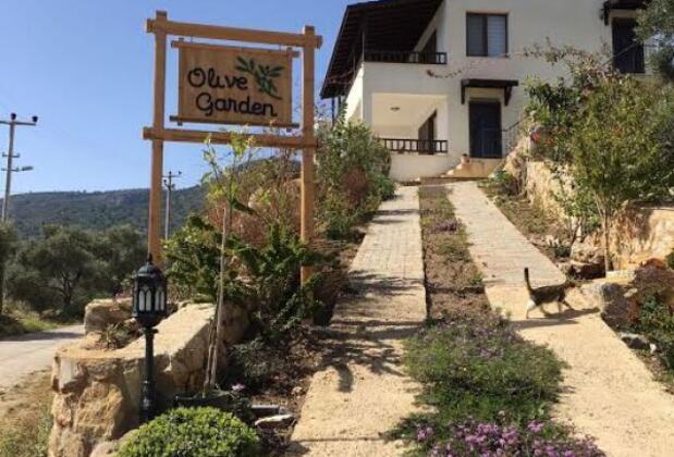 Olive Garden - Görsel 14