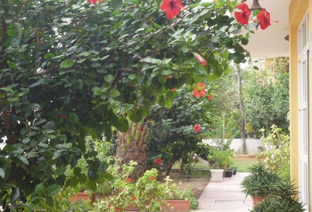 Pinus Apart & Otel - Görsel 14