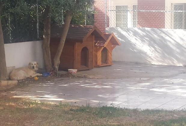 Pinus Apart & Otel - Görsel 28